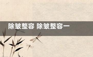 除皱整容 除皱整容一般多少钱
